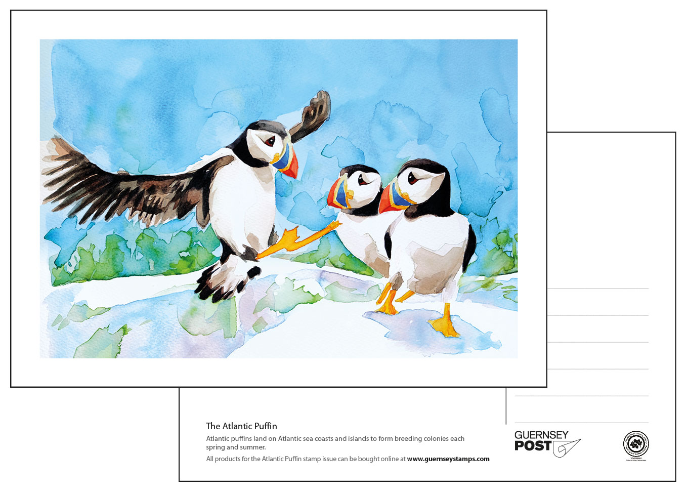 Set of 6 Postcards